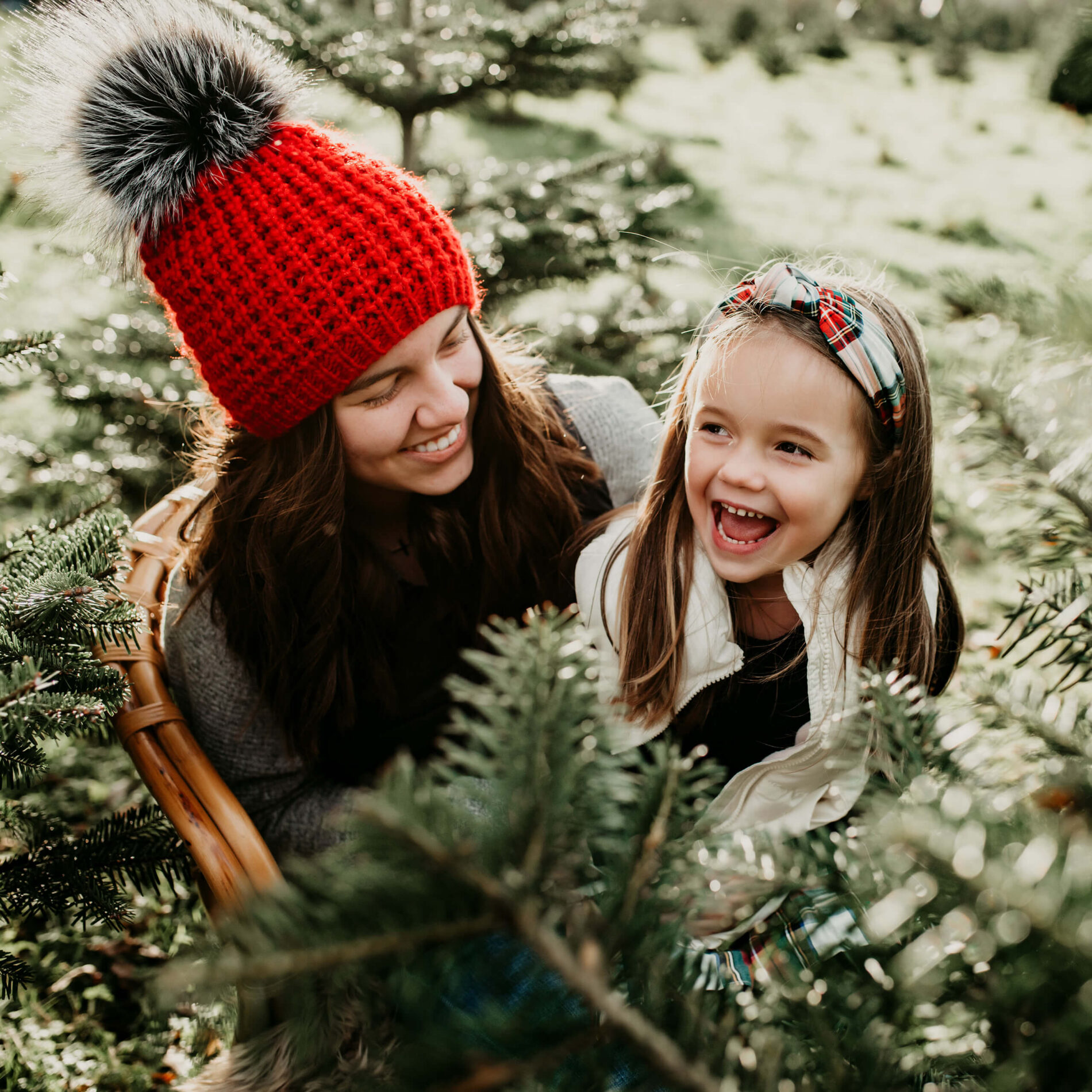 Christmas Tree Farm Family Photos: Samples, Outfit Tips, Posing Ideas ...