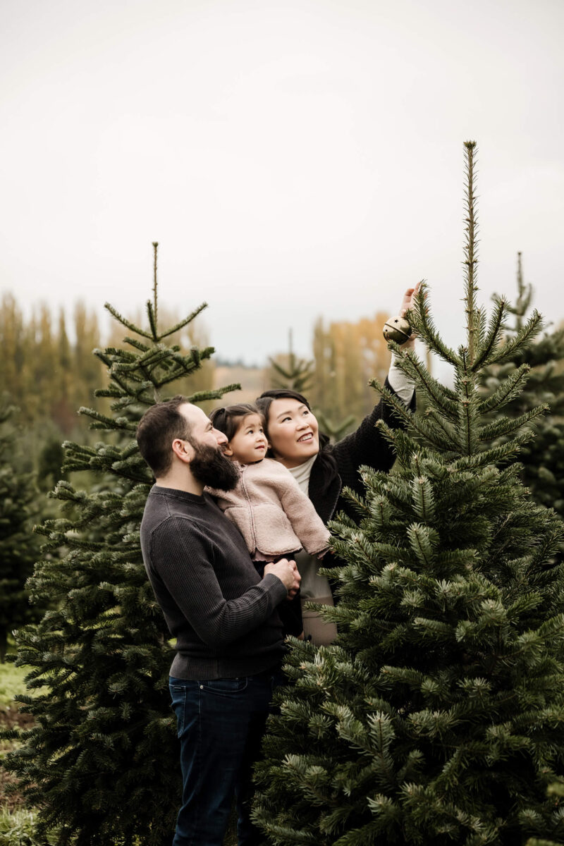 Find a Christmas Card Photographer for a Holiday Photoshoot