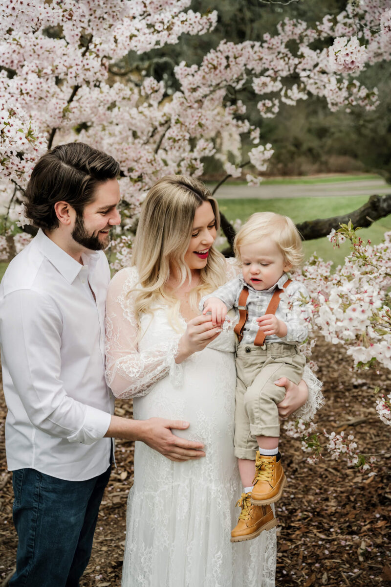 Seattle Cherry Blossom Mini-Sessions - Seattle Family & Maternity