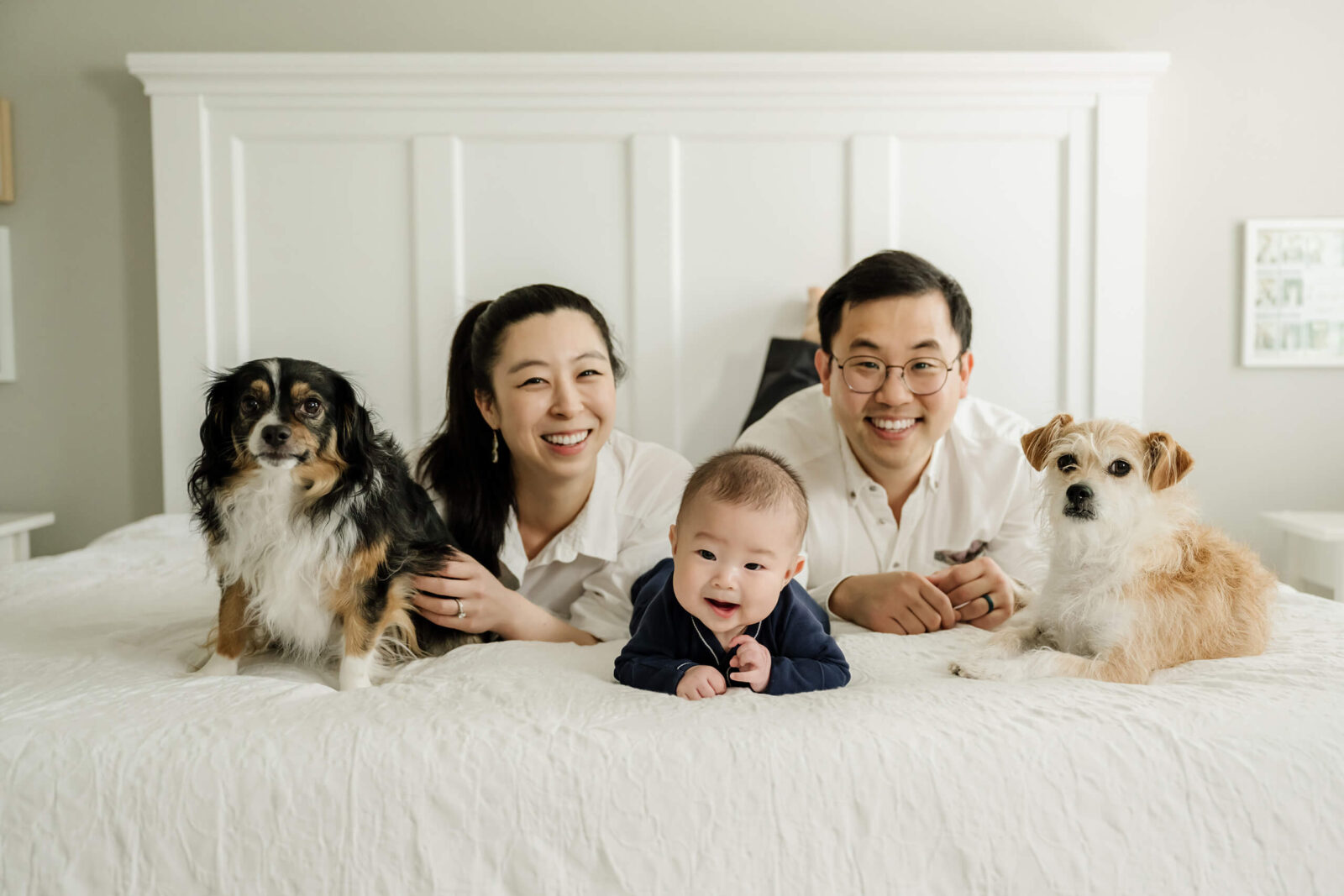 In-home newborn photoshoot, parents with their son and two dogs on the bed